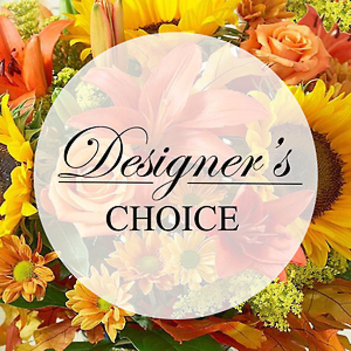 holiday designeres choice