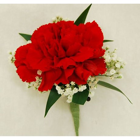 single carnation bout